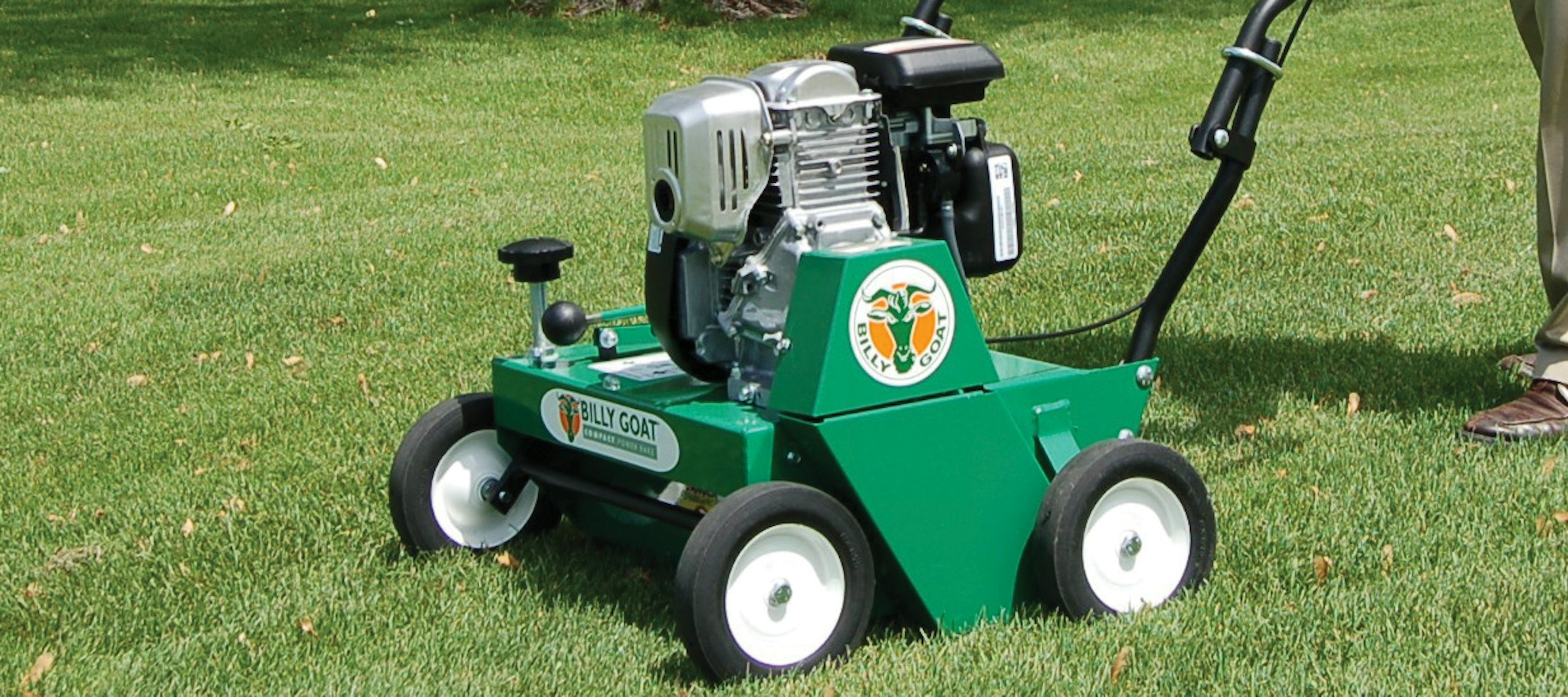 Scarifier lifestyle rake