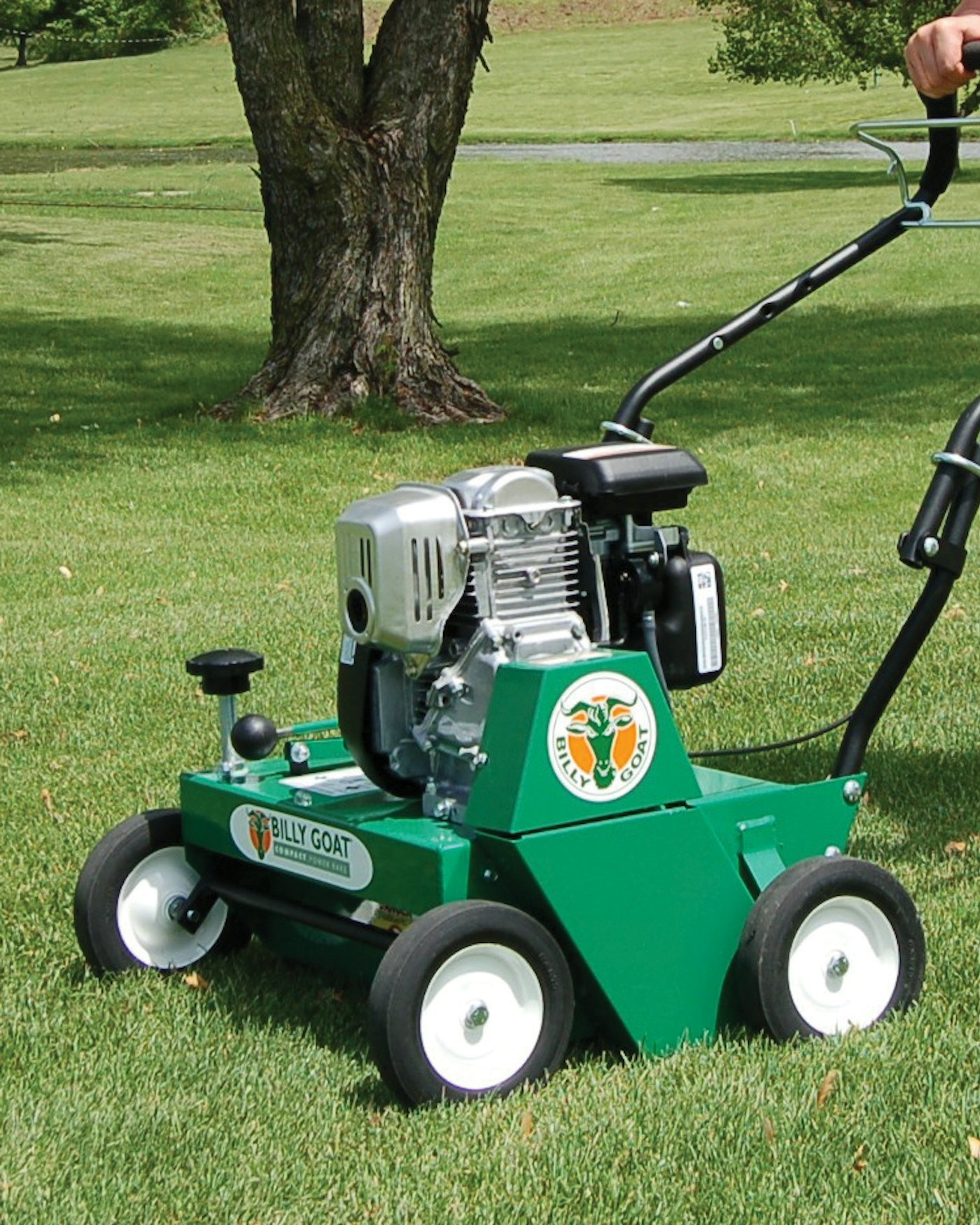 Scarifier lifestyle rake