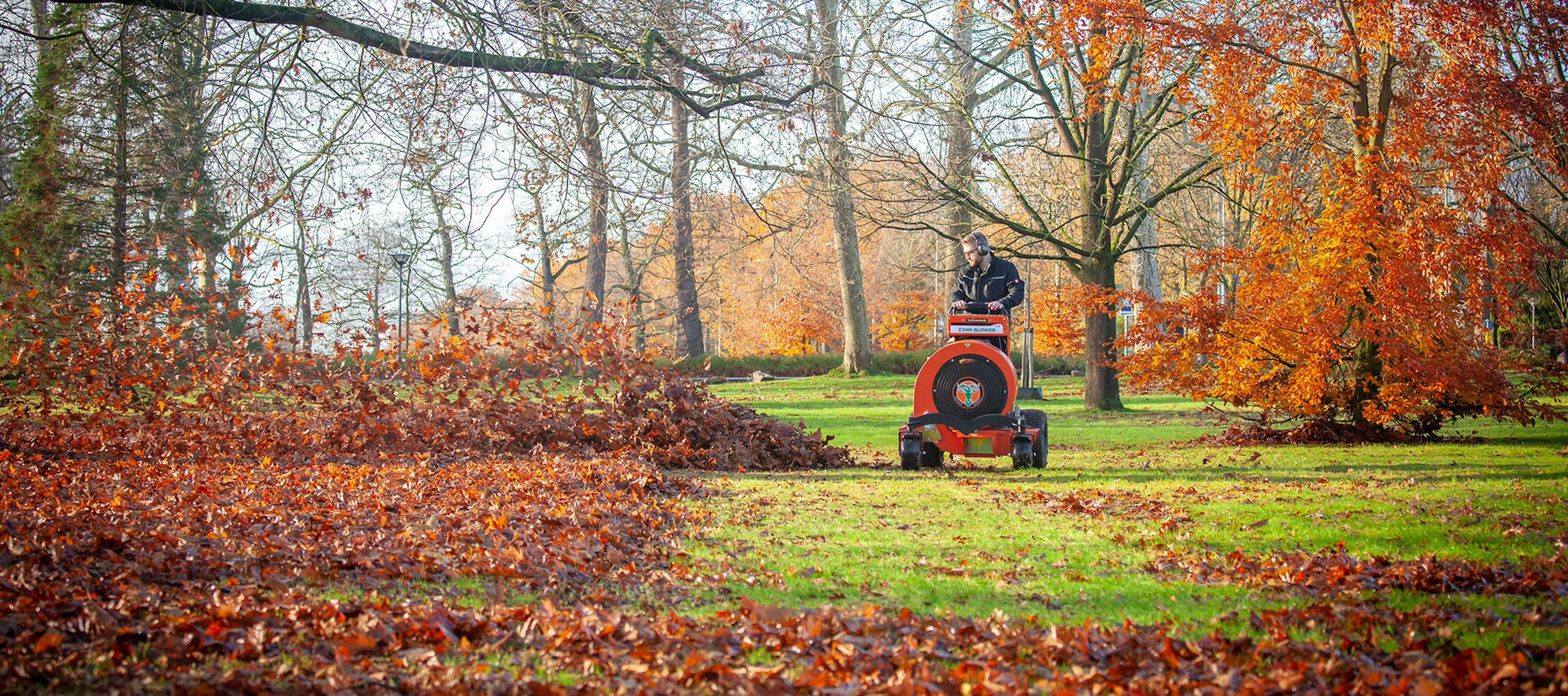 Distant frontal view of man navigating through park during autumn cleanup with Stand On Force Blower