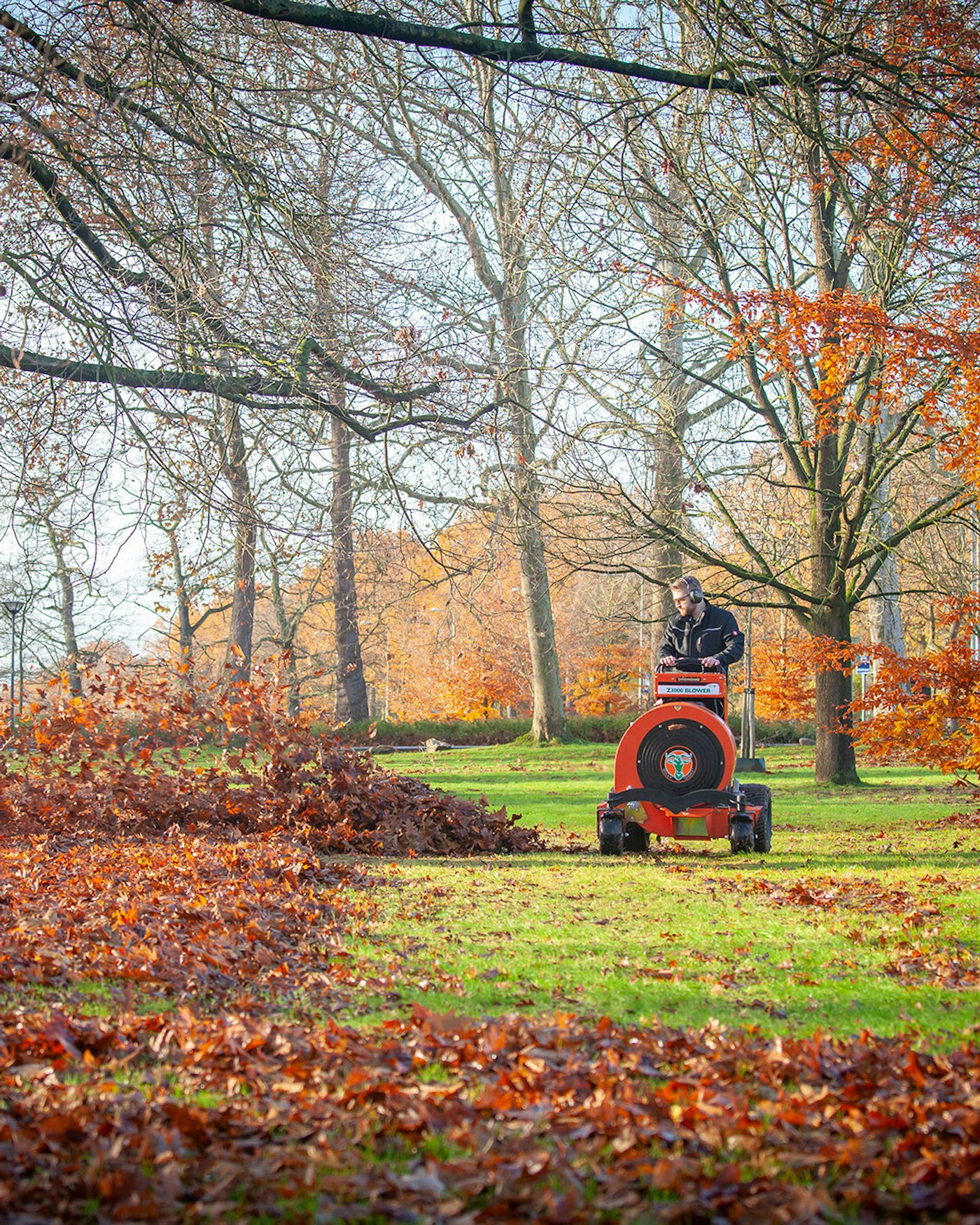 Distant frontal view of man navigating through park during autumn cleanup with Stand On Force Blower