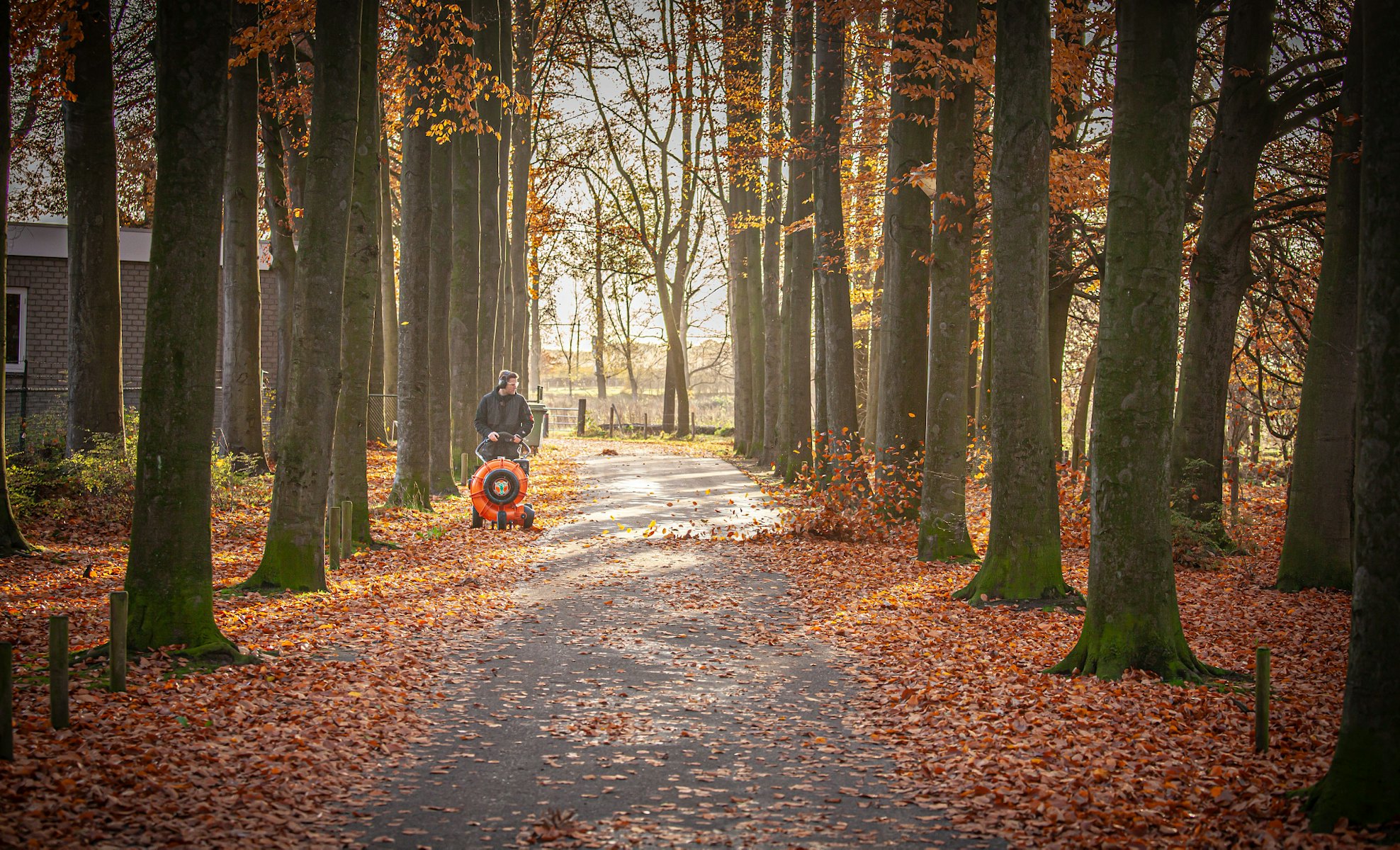 Man using wheeled blower pictured from the front blowing leaves on tree lined pathway