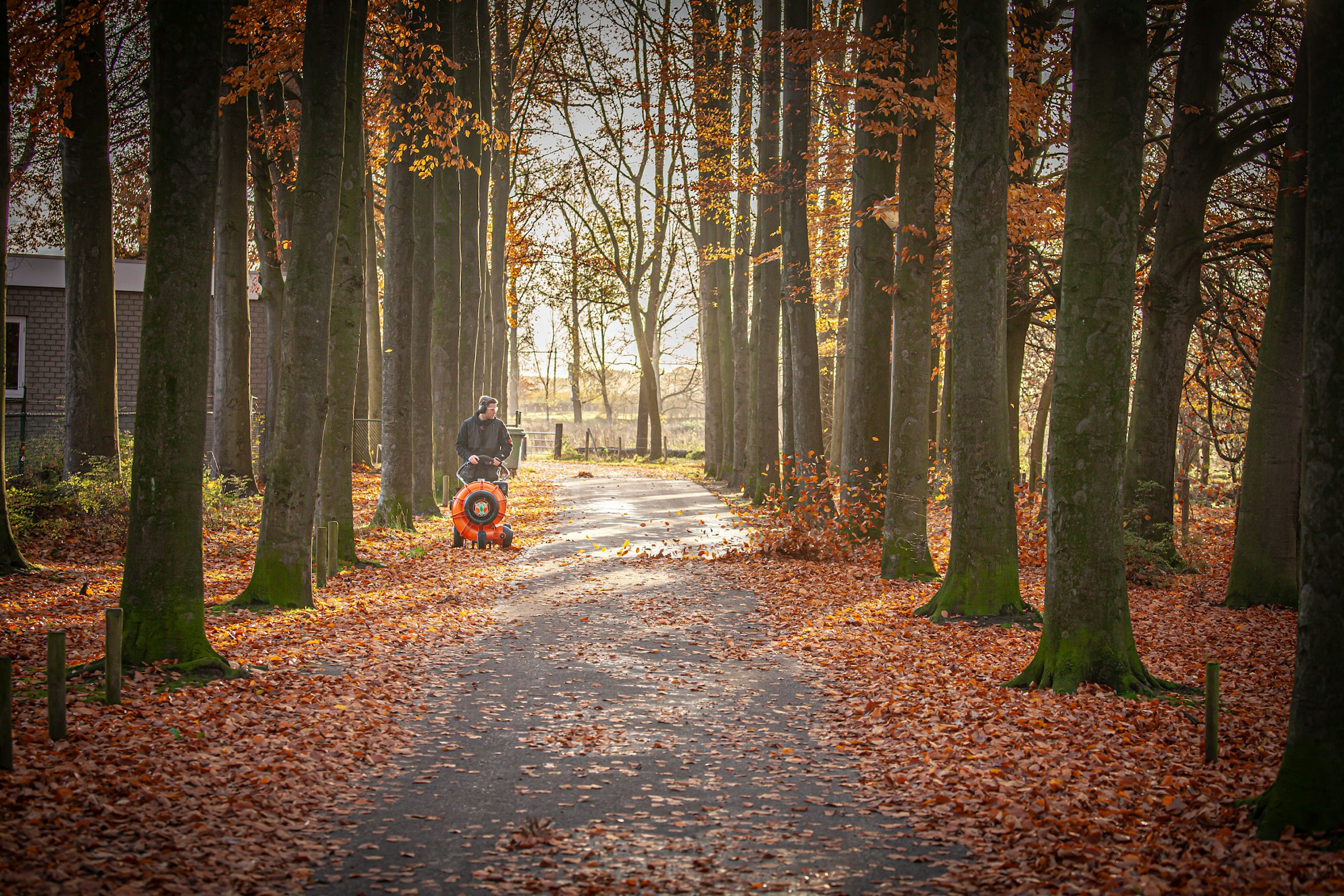 Man using wheeled blower pictured from the front blowing leaves on tree lined pathway
