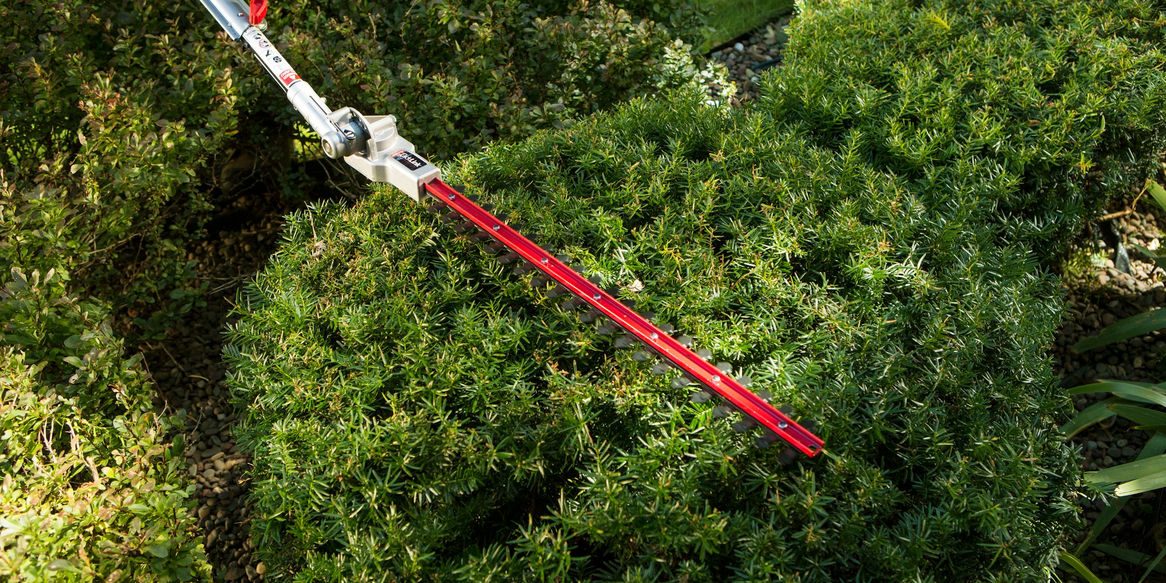 Hedge trimmer cutting a hedge