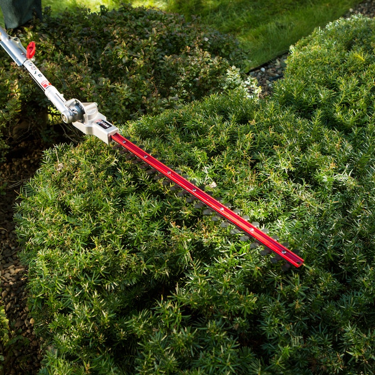 Hedge trimmer cutting a hedge